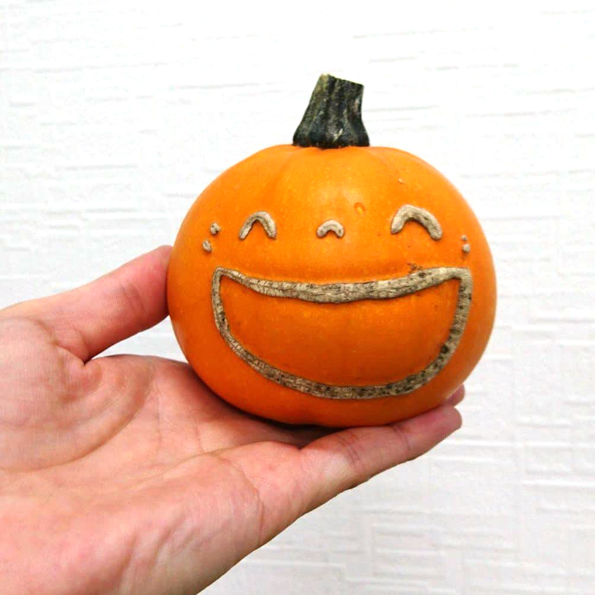 生花/即納】かぼちゃ トリック L(プレミアム!文字又は顔付き) - 花材