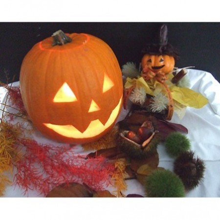 生花】【早得C】9/22まで《ハロウィンカボチャ》大玉系オレンジ品種