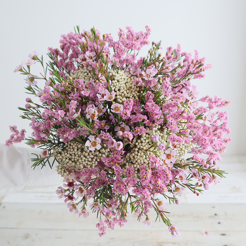 生花】ワックスフラワー(ライトピンク系)輸入 50cm程度 【OT】 - 花材