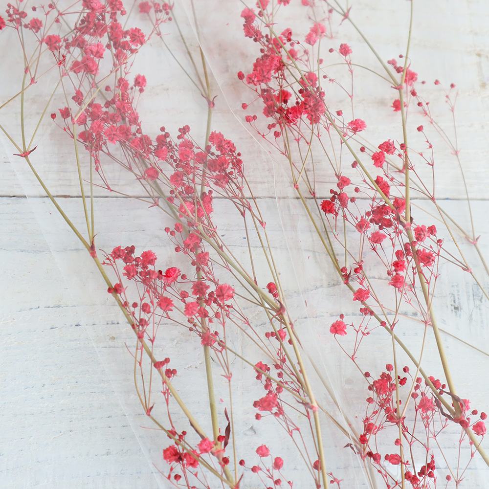 即日☆【ドライ】J・flow/染めカスミ草 恋紅(赤) - 花材通販はなどんや