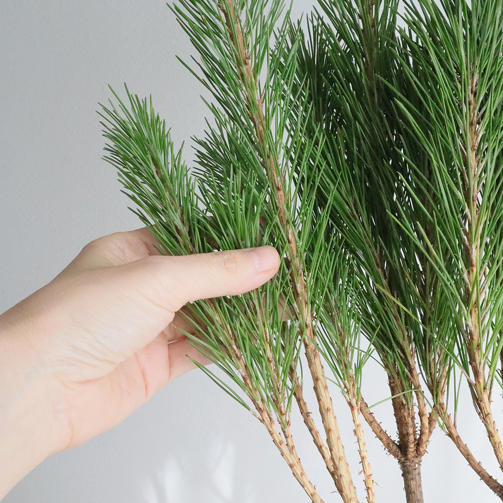 ばなな出品 造花】YDM/ハイビスカス オレンジ/FS-8355OR - 花材通販はなどんやアソシエ