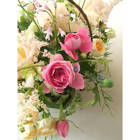 直前】M-マリーアントワネット(SPバラ) - 花材通販はなどんやアソシエ