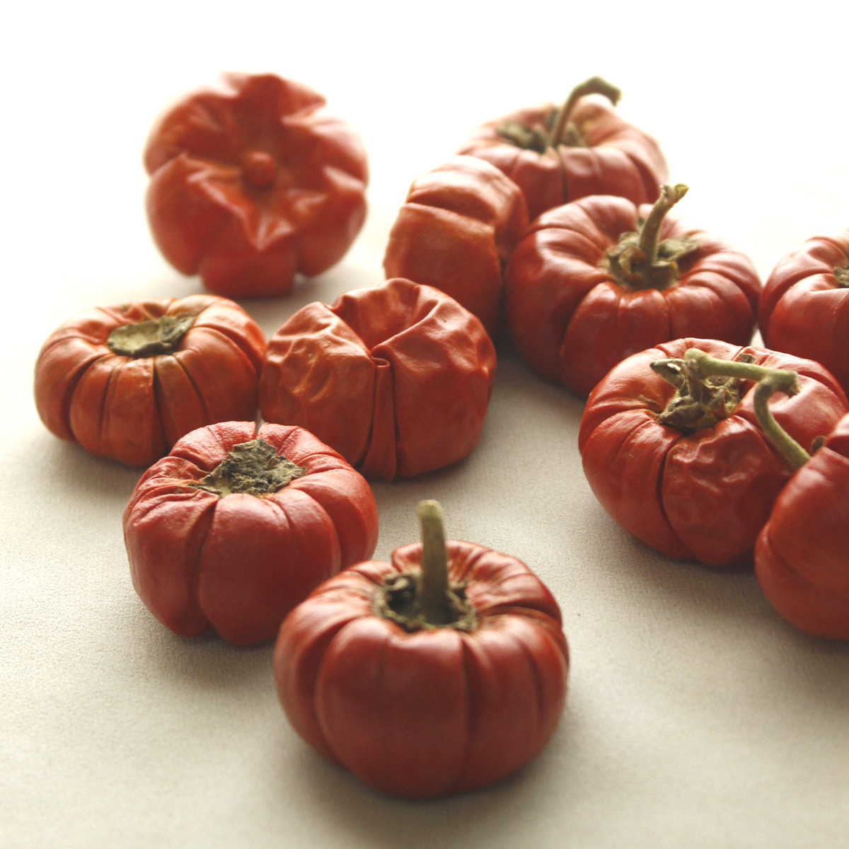 生花】ドライ ソラナム ミニパンプキン(100g)【FJ】 - 花材通販はなど