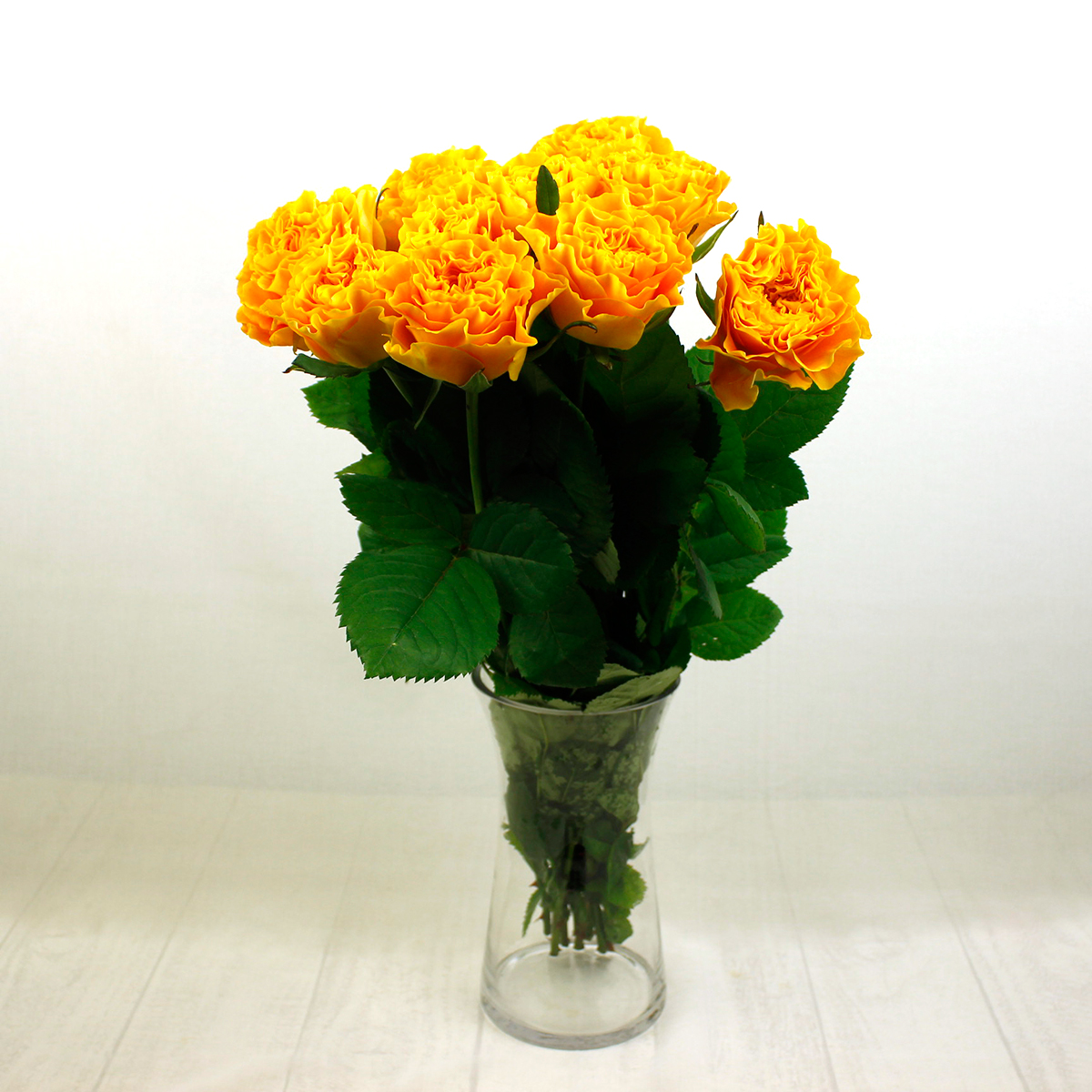 直前】バラ マンゴーリーバ(オレンジイエロー)【生花】 - 花材通販は