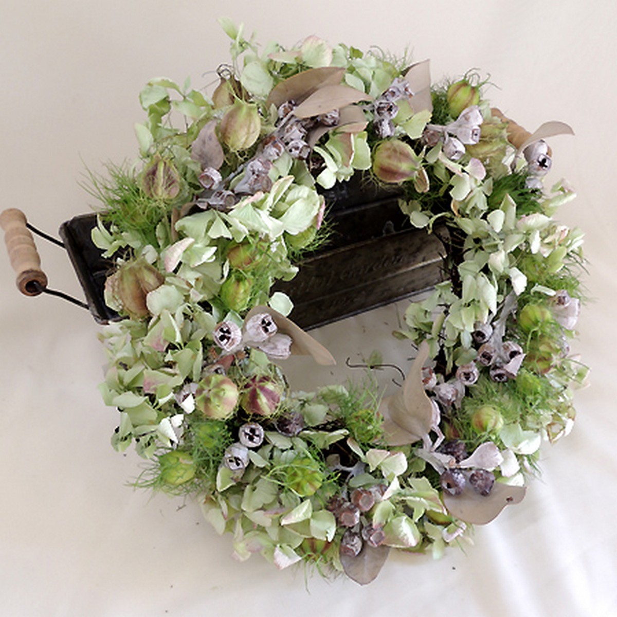 生花】ユーカリ テトラゴナナッツ(30cm程度)オーストラリア産 早締切