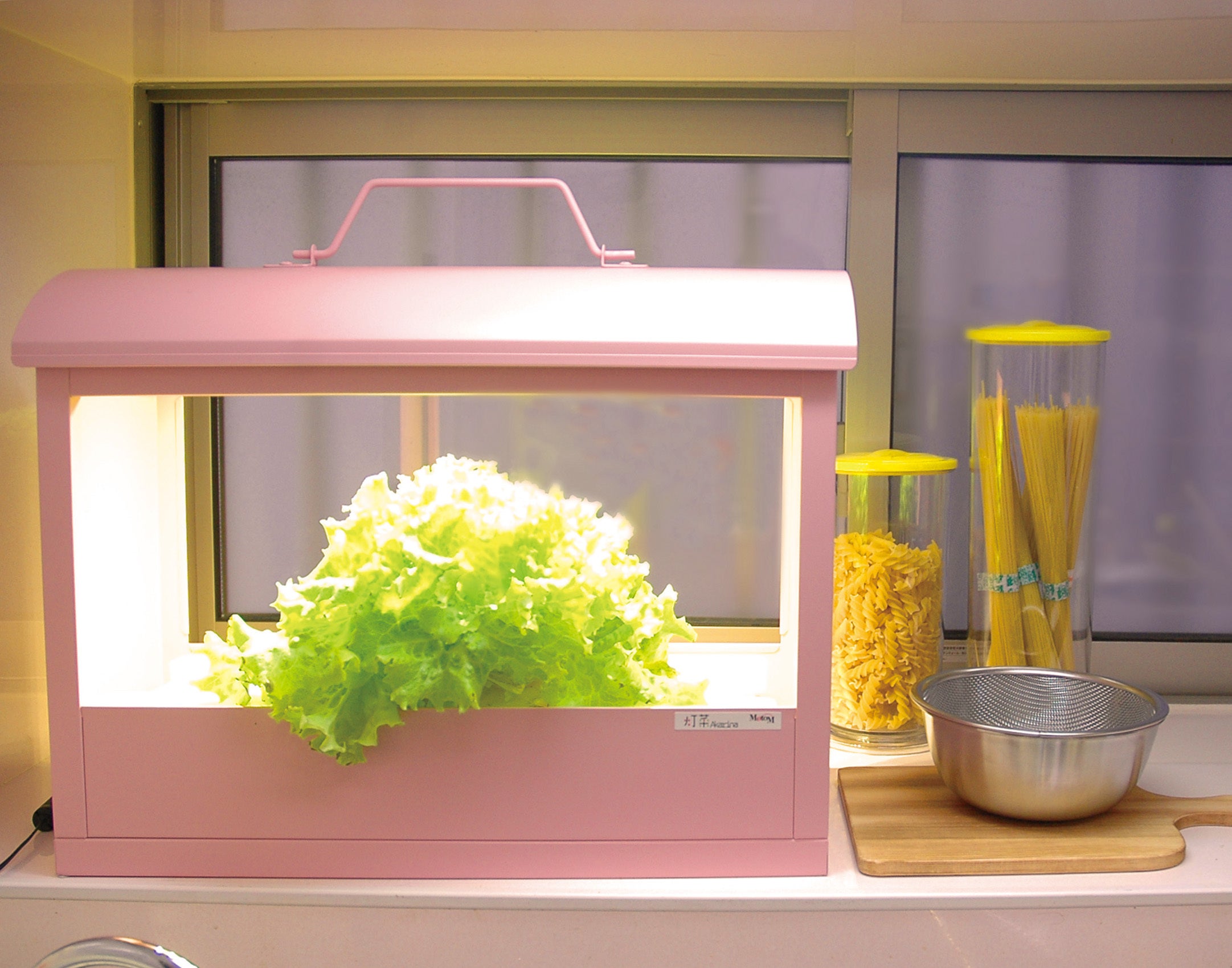 活動報告一覧 - 室内で野菜やお花を育むインテリア「LED植物水耕栽培器