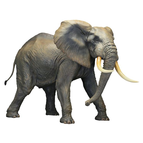 フィギュア: メガソフビアドバンス MSA-007 アフリカゾウ 【2016年3月