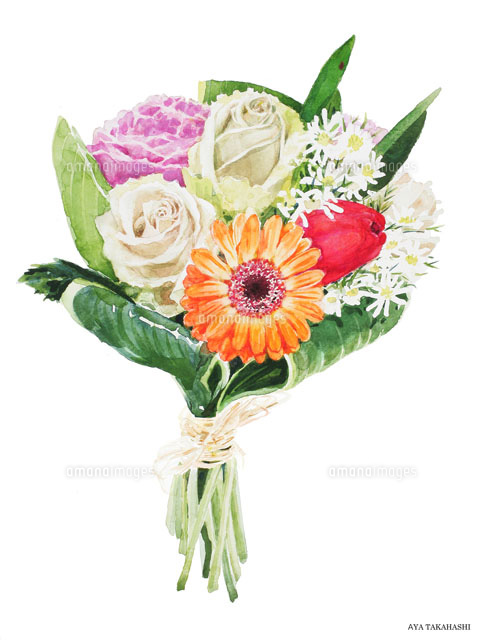 水彩画 ガーベラ、バラ、チューリップの花束[02237010700]の写真