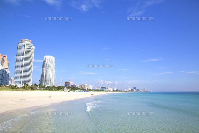 フロリダ マイアミビーチ[10430007500]の写真・イラスト素材｜アマナ