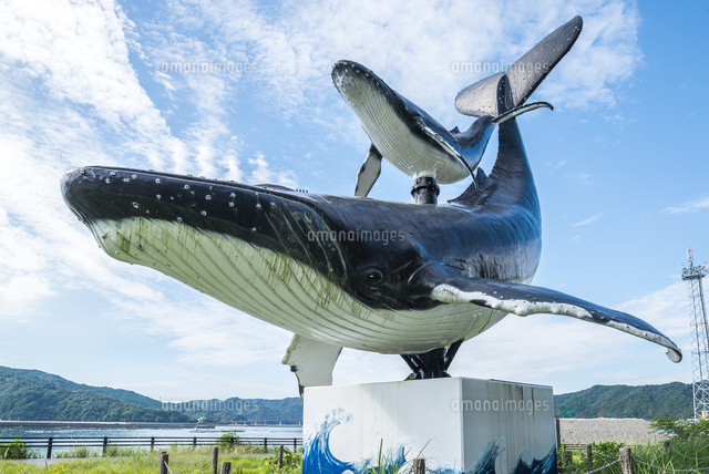 雲靡く青空に見上げる親子のクジラ像[10573005401]の写真・イラスト