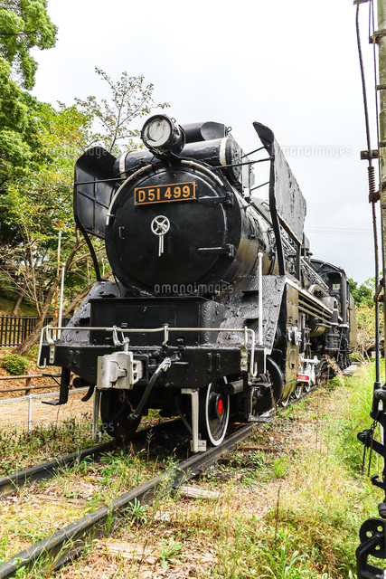 津偕楽公園に屋外展示されたD51蒸気機関車[10573008140]の写真
