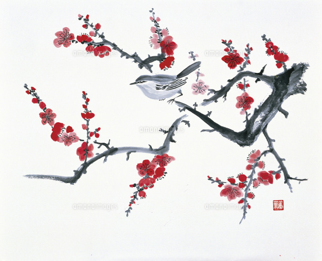 梅に鶯のイラスト[22451021337]の写真・イラスト素材｜アマナイメージズ