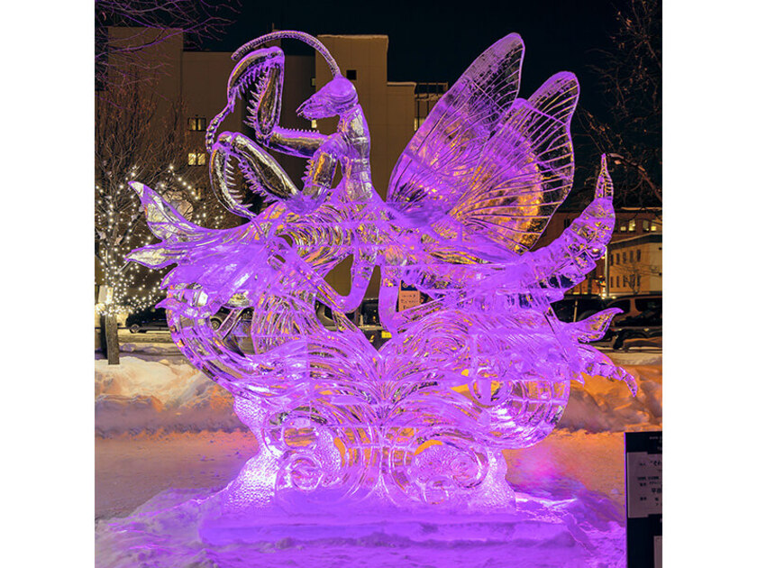 2026年「氷彫刻世界大会」｜北海道観光｜ぐうたび北海道