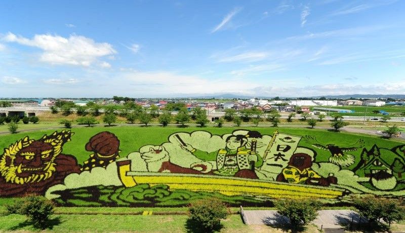 田んぼアート発祥の地！美しい田園風景が広がる青森県田舎館村の