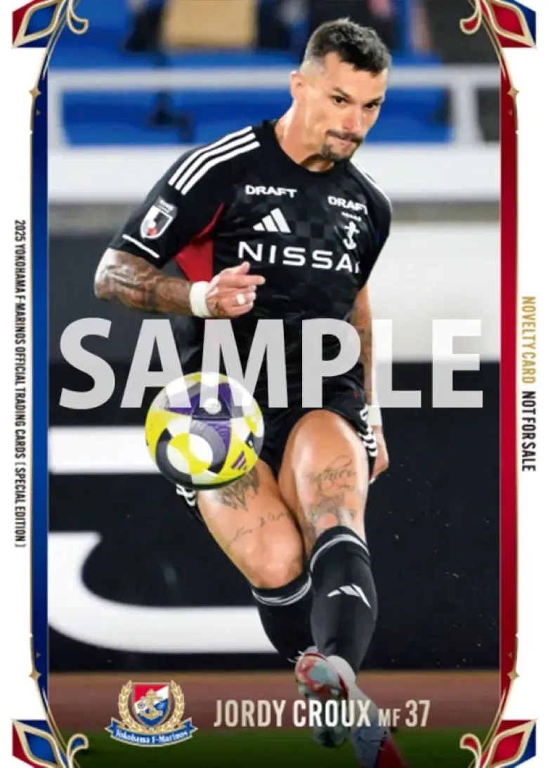 11/15（土）新商品およびカードフェスタ開催のお知らせ | ニュース