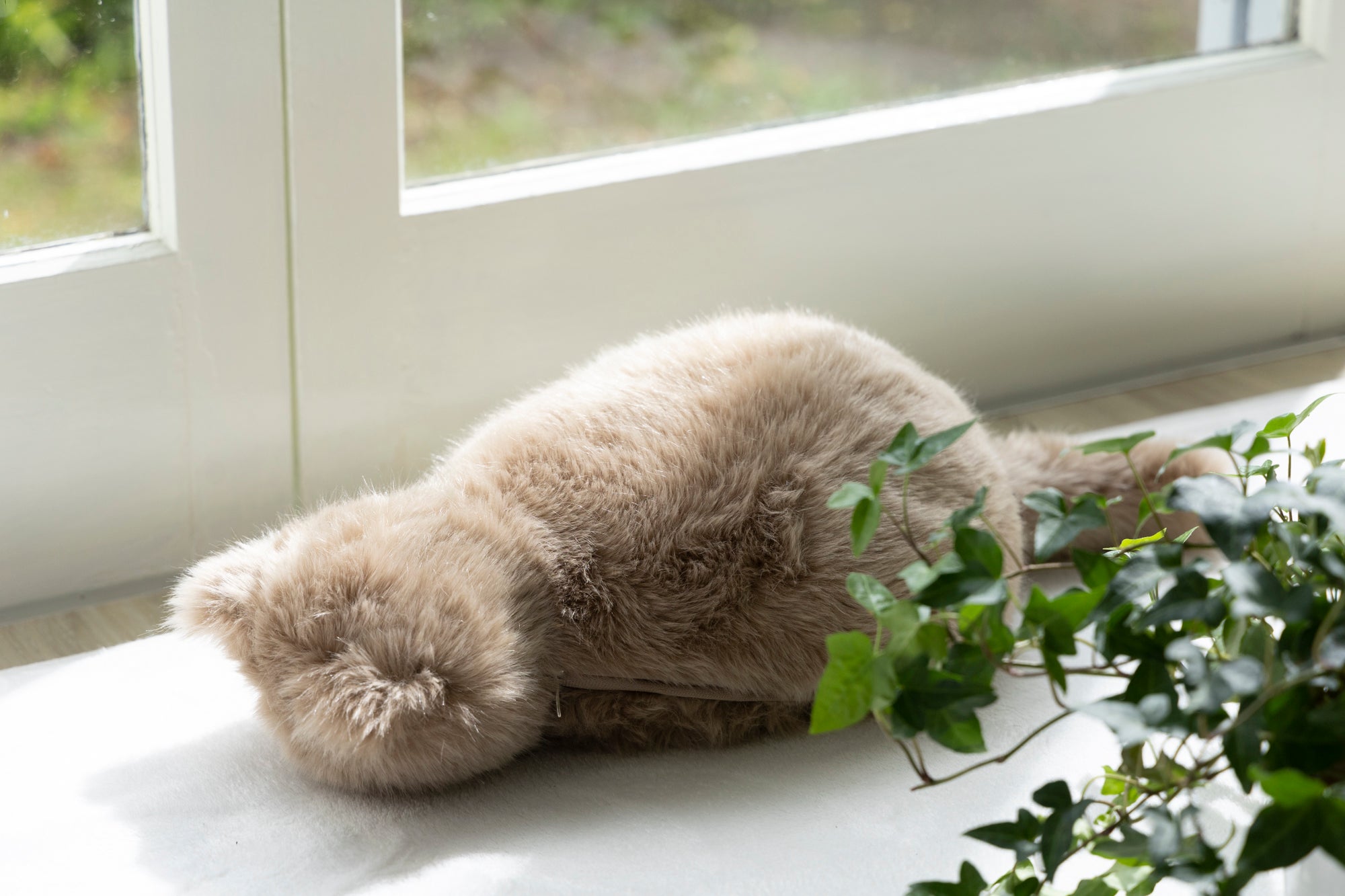 Makuake｜まるで猫がいるような癒し体験ができる猫型クッション