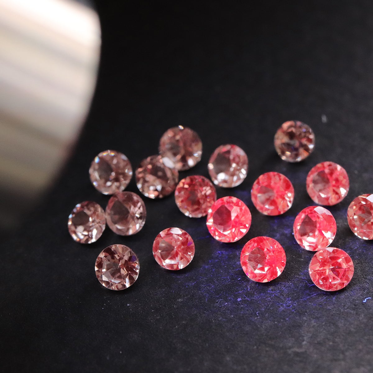 UVライトで赤く強蛍光】アメリカで話題！色が変化する希少なドラゴン