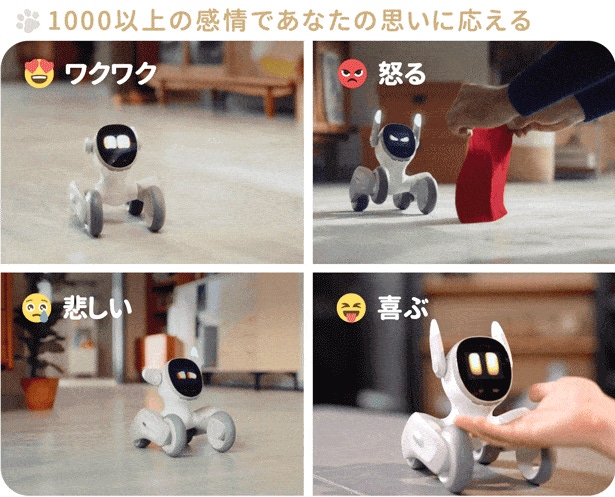 あなたのことが大好き！1000もの感情を分かち合う、癒しのLoona