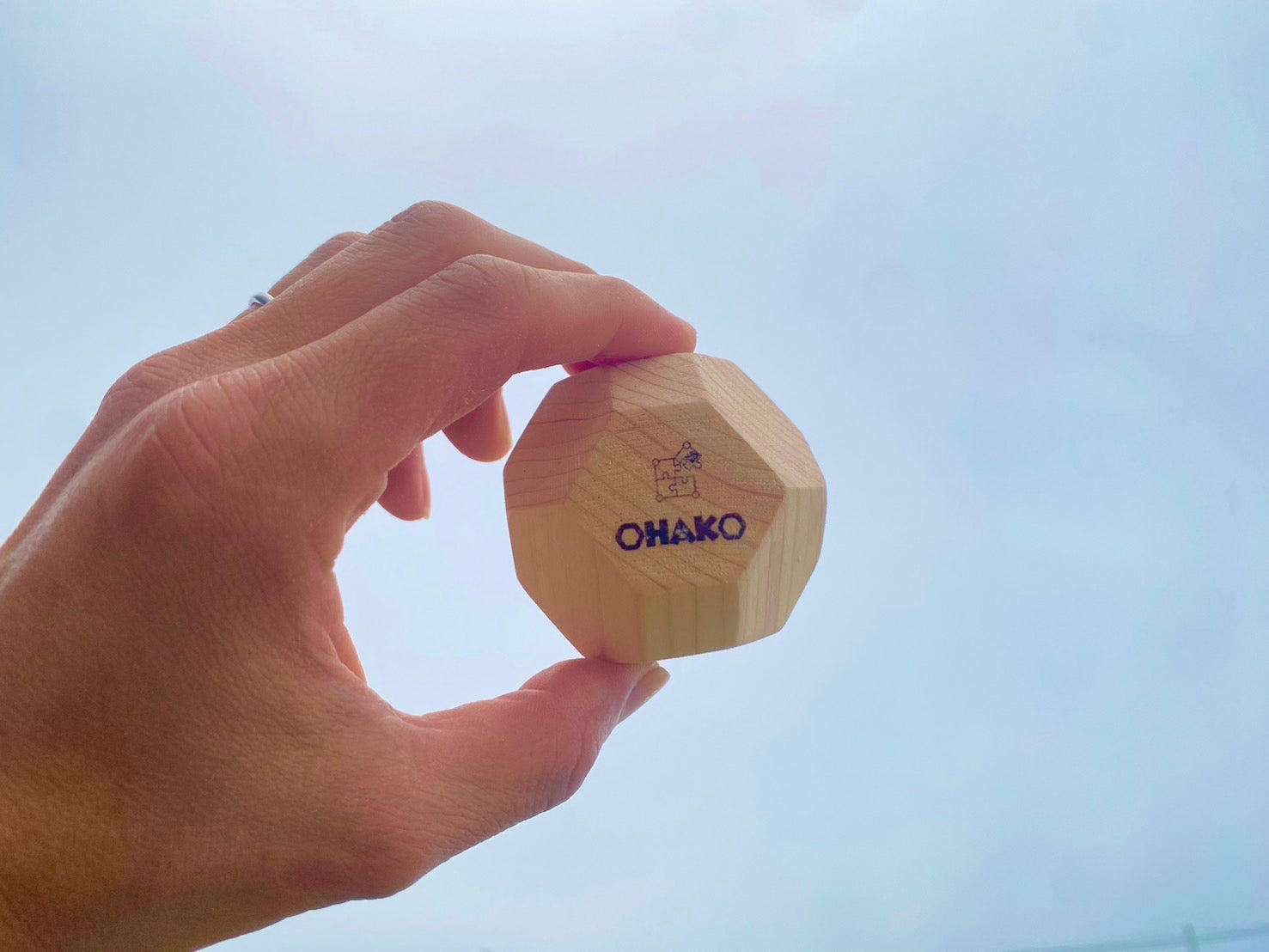 日本製おもちゃ】子どもたちの脳トレブロック 18面体積み木 （意匠