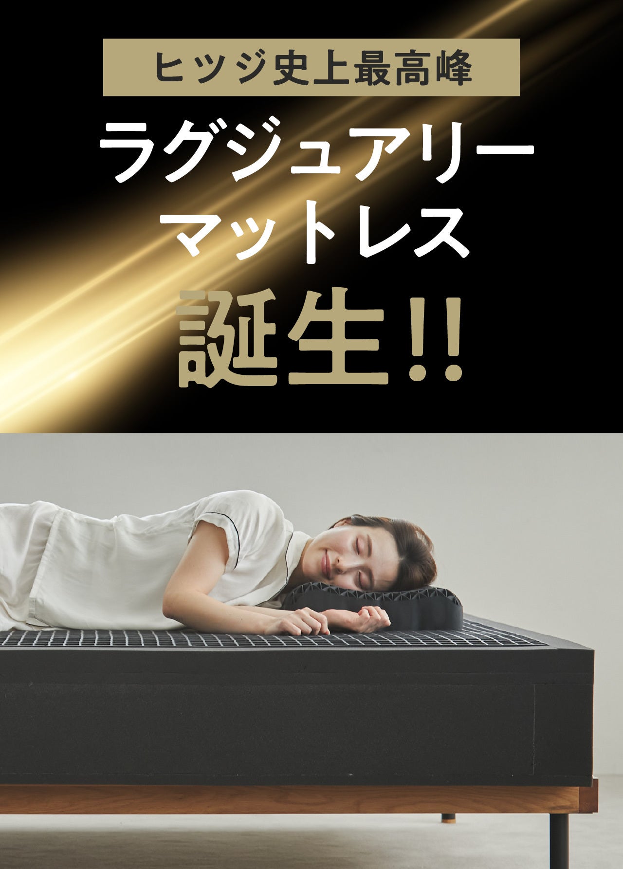 ついに登場】ヒツジ史上最高峰。ぷにょんと新体験！至福の