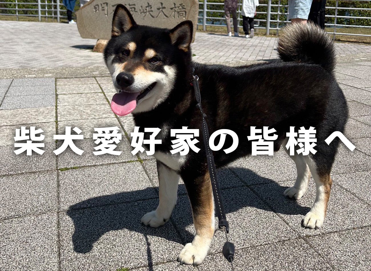 柴犬グッズ」柴犬をモチーフにしたシバポーチ！本革の温もり×柴犬の愛
