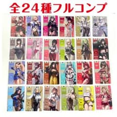 勝利の女神：NIKKE メタリックパスコレクションVer.3 全24種フルコンプ