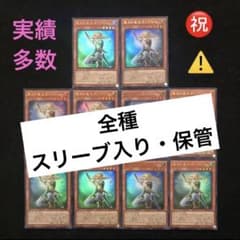 10⭐️聖月の皇太子レグルス10枚】遊戯王OCG デュエルモンスターズ V