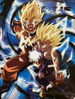 ドラゴンボールZ 孫悟空 & 孫悟飯親子 かめはめ波 クリアファイル 鳥山