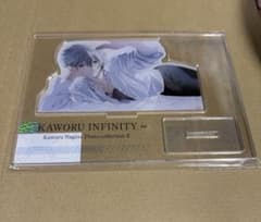 渚カヲル 写真集 2 とらのあな 特典 アクリルスタンド 新世紀