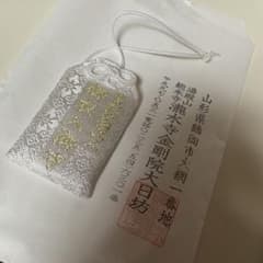 湯殿山総本寺 瀧水寺大日坊 即身仏御衣入御守 - メルカリ