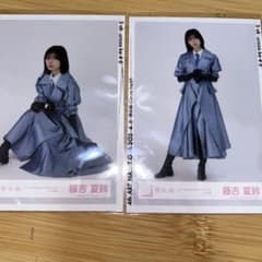 m48787863714_1.jpg?1710437106