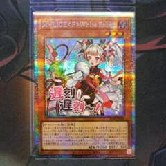 m49475125806_1.jpg?1765634551