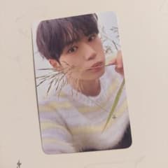 ALD1 EUPHORIA STAR ROAD ver ジュンソ トレカ - メルカリ