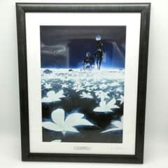 m49621804312_1.jpg?1725881074