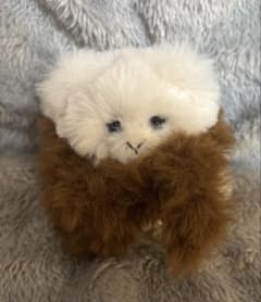 ナマケモノ アートドール 作家様 | Shop at Mercari from Japan! | Buyee