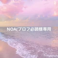 seventeen エスクプス miniteen チェチェリー ぬいぐるみ - メルカリ