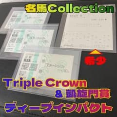 馬券 ディープインパクト 現地 三冠➕凱旋門賞 【希少】単勝 - メルカリ