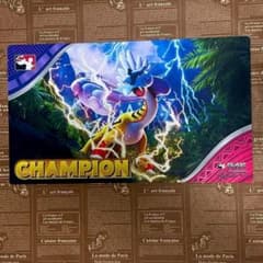 海外大会限定品 】タケルライコ ポケモン プレイマット チャンピオン