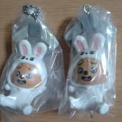 StrayKids SKZOO つまんでつなげてますこっと ハン クオッカセット