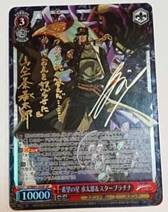 ジョジョの奇妙な冒険 ヴァイス 希望の星 承太郎 スタープラチナ SP