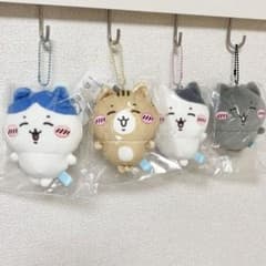 m54033079230_1.jpg?1715884905