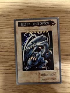 m55063721915_1.jpg?1676469368