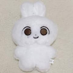 ジョンハン ぬい ぬいぐるみ 10cm seventeen マスター 人形 - メルカリ