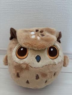 m58315096711_1.jpg?1763529078