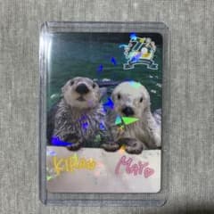 鳥羽水族館 70周年記念コレカ レアカードメイ☆キラ - メルカリ