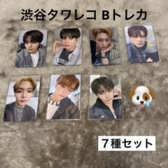 ALD1 EUPHORIA タワレコ ラキドロB トレカ 7種 - メルカリ