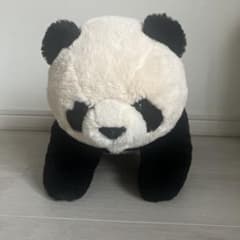 m50630117259_1.jpg?1719102906