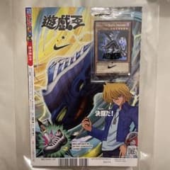 m51363160517_1.jpg?1757079598