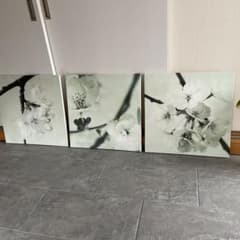 m51713868387_1.jpg?1739947993