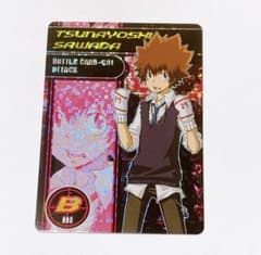 家庭教師ヒットマンREBORN リボーン サザンクロスバトル カード 沢田